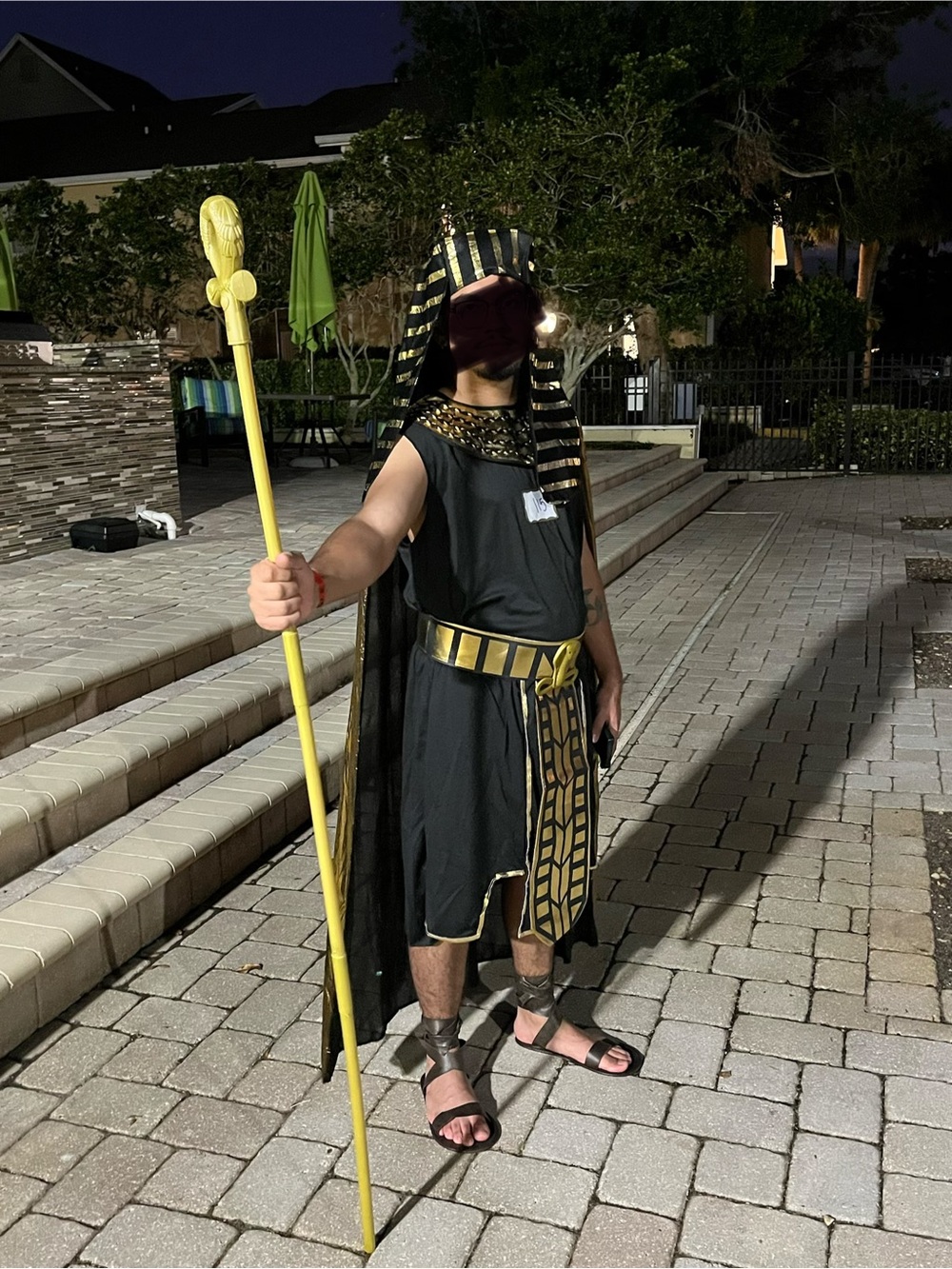 Egyptian Pharaoh Costume
